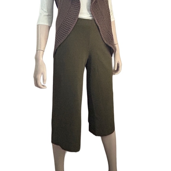J. Jill Capri Pants Trousers 100% Cotton Moss Green Pull On Pockets XSP S Petite - Picture 2 of 11